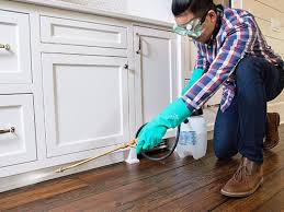 Best Real Estate Pest Inspections  in Santa Claus, IN